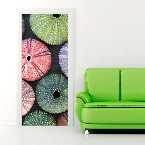 Op = Op Porta Conchiglie - 60 cm / 200 cm