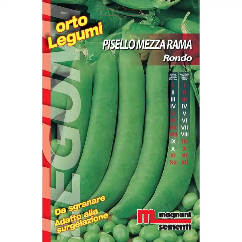 Semi Pisello mezza rama rondo 100 g Korting