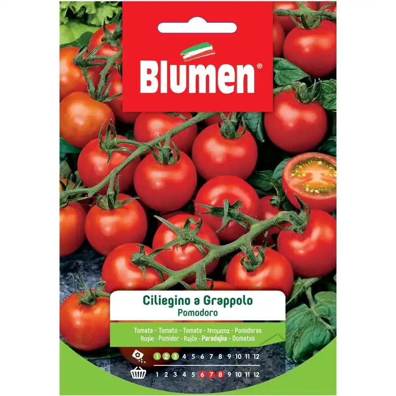 Semi Blumen Pomodoro ciliegino a grappolo Seizoensaanbieding