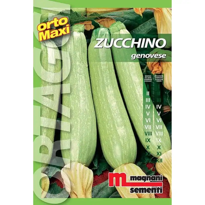 Semi orto maxi Zucchino genovese Beperkt Aanbod