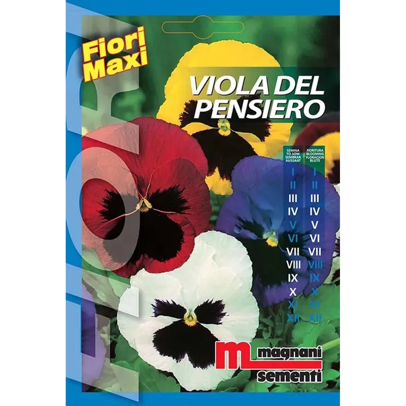 Dagaanbieding Semi fiori Viola del pensiero