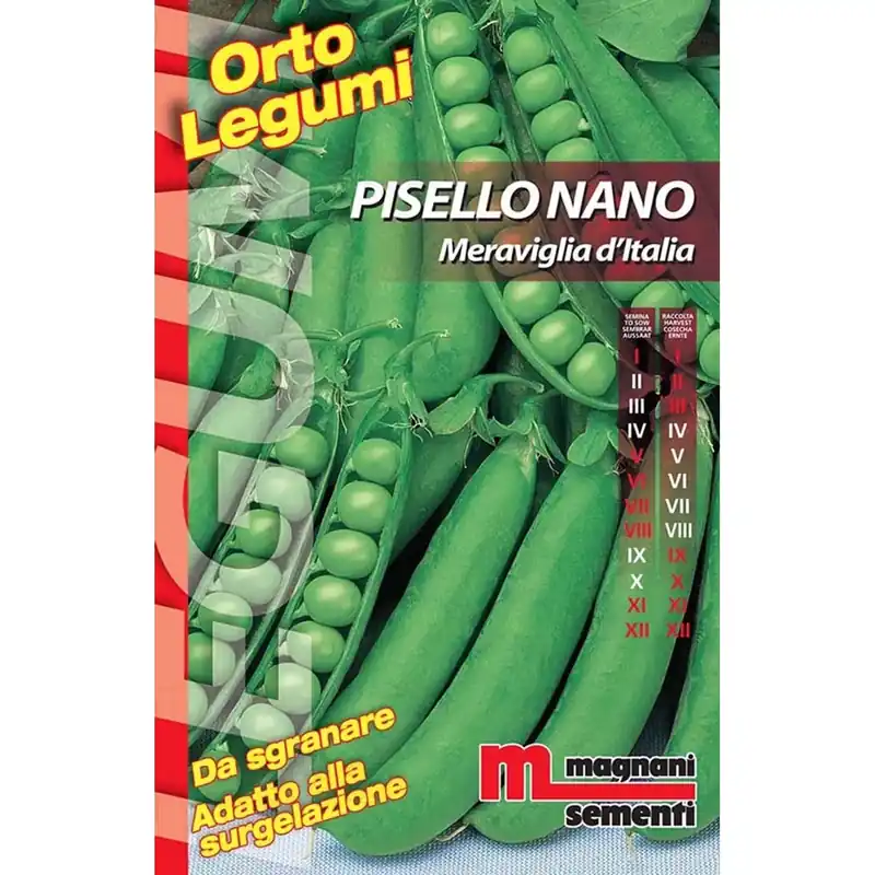 Semi Pisello nano Meraviglia d` Italia 200 g Uitverkoop