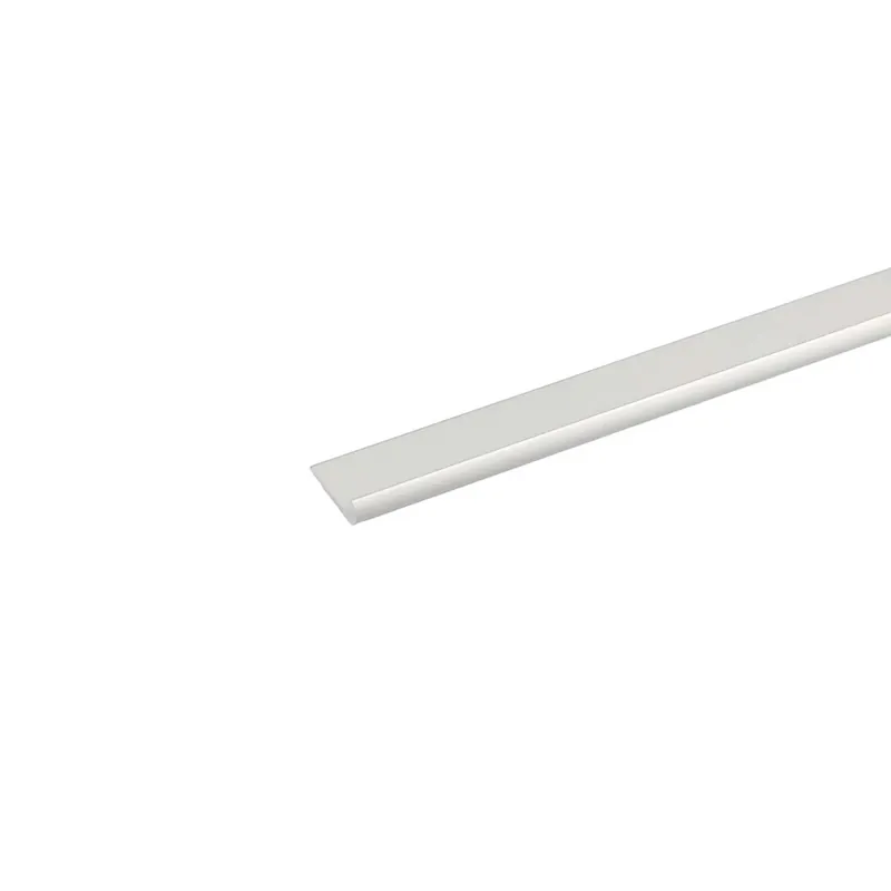 Populair Profilo unghietta 1 m x 22 mm argento