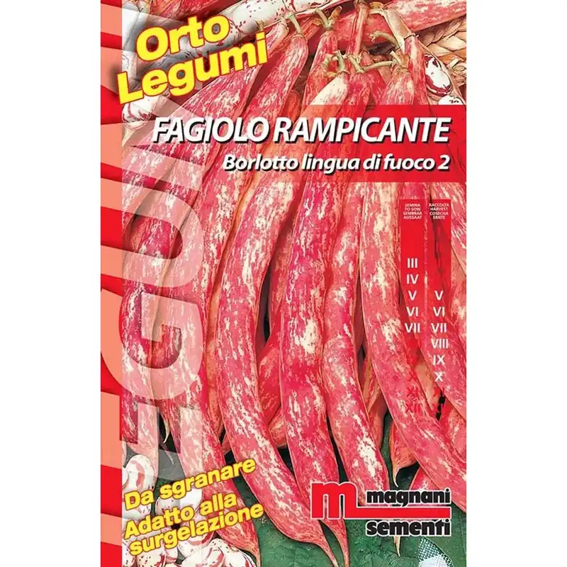 Semi Fagiolo rampicante borlotto Lingua di fuoco 2 200 g Superprijs