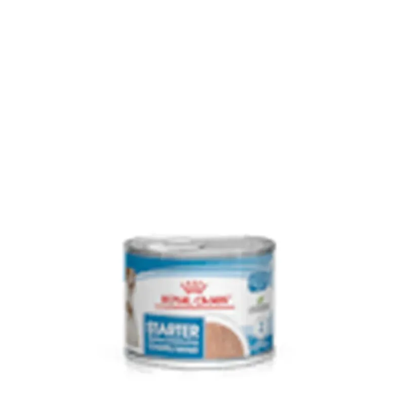 Seizoensaanbieding Cibo umido per cani Royal Canin Starter Mother & Babydog lattina 195 gr