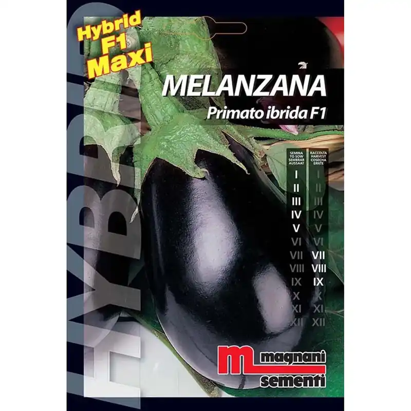 Dagaanbieding Semi ibridi Melanzana Primato
