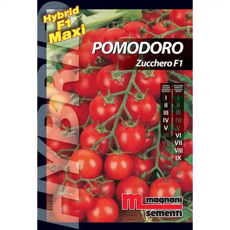 Semi ibridi Pomodoro Zucchero Hete Deal