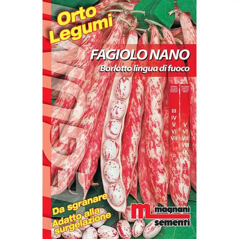 Semi Fagiolo nano borlotto Lingua di fuoco 200 g Korting