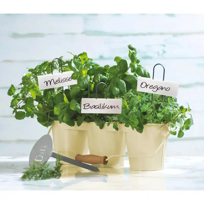 Etichette per piante OBI bianco 9x27 cm 5 pz Meest Verkocht