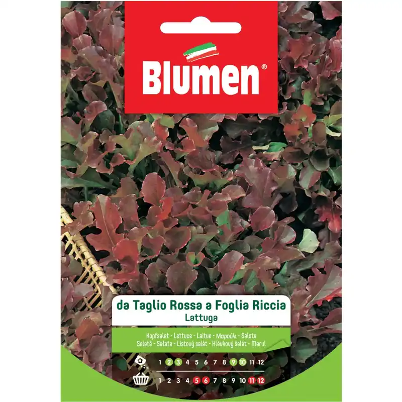 Semi Blumen Lattuga da taglio rossa Gereduceerde Prijs