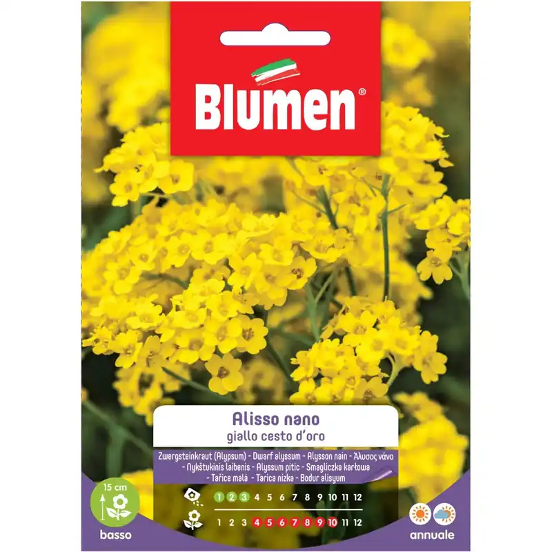 Semi Blumen Alisso giallo nano cesto d`oro Laatste Kans