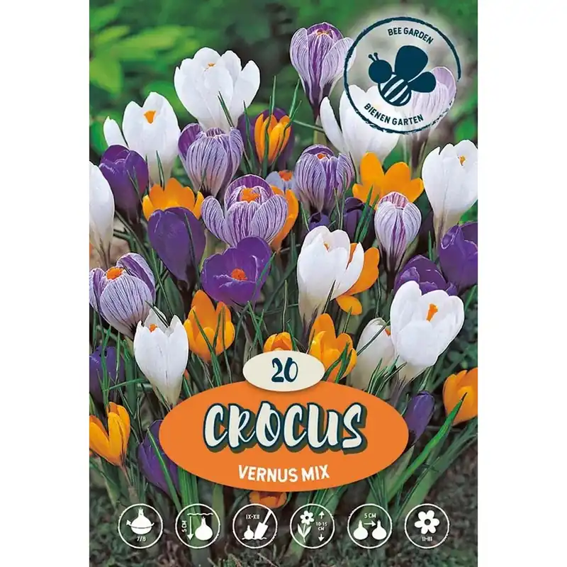 Hete Deal Crochi Vernus Misto