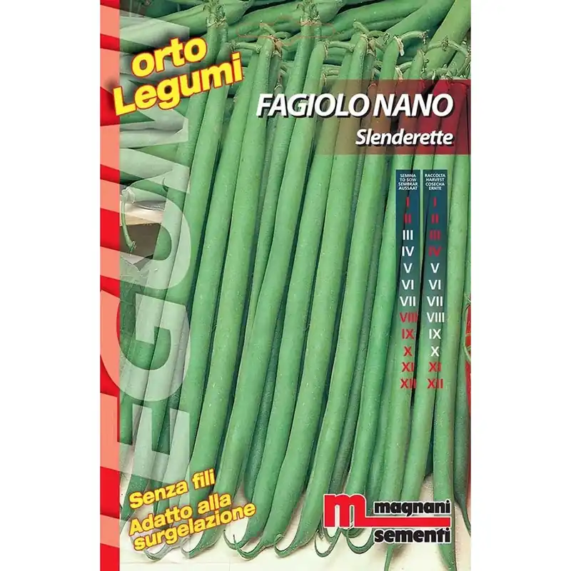 Fabrieksprijs Semi Fagiolo nano Slenderette 100 g