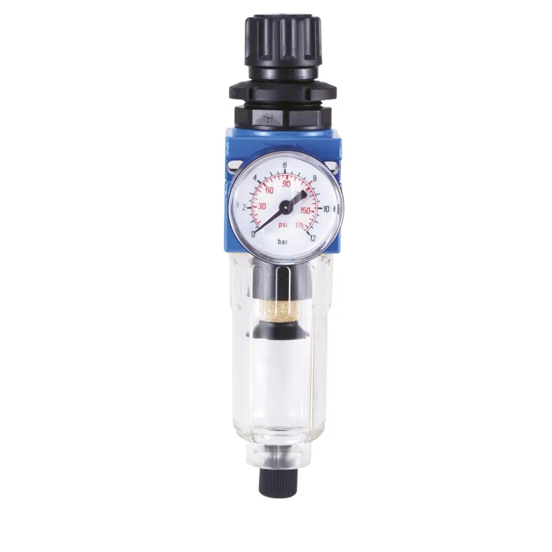 Dagaanbieding Regolatore di pressione per compressore con filtro 1/4" femmina