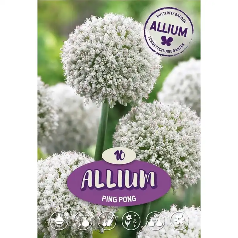 Allium Ping pong Flitsaanbieding