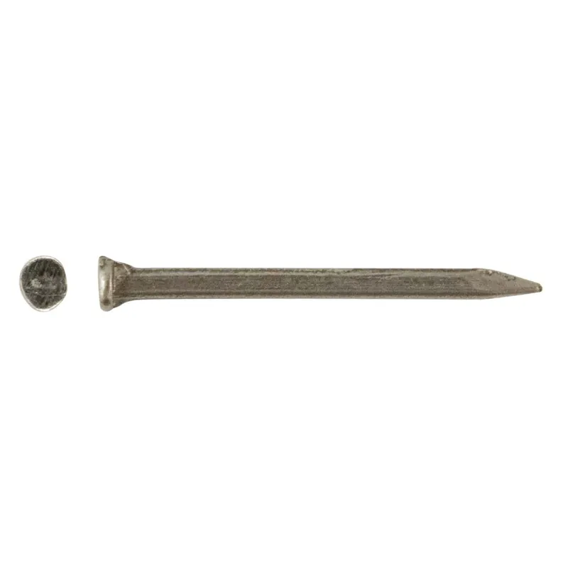Chiodi semenza ferro lucido 10 mm 340 pz Gratis Retour