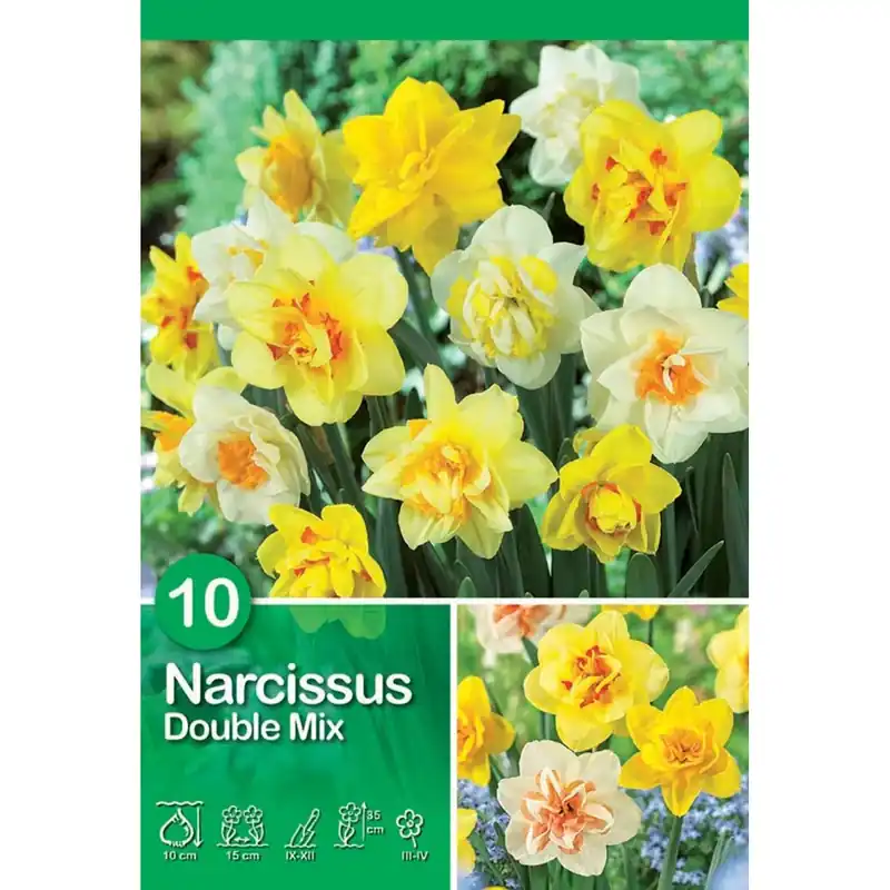 Flitsaanbieding Narciso Double Mixed 10 pz