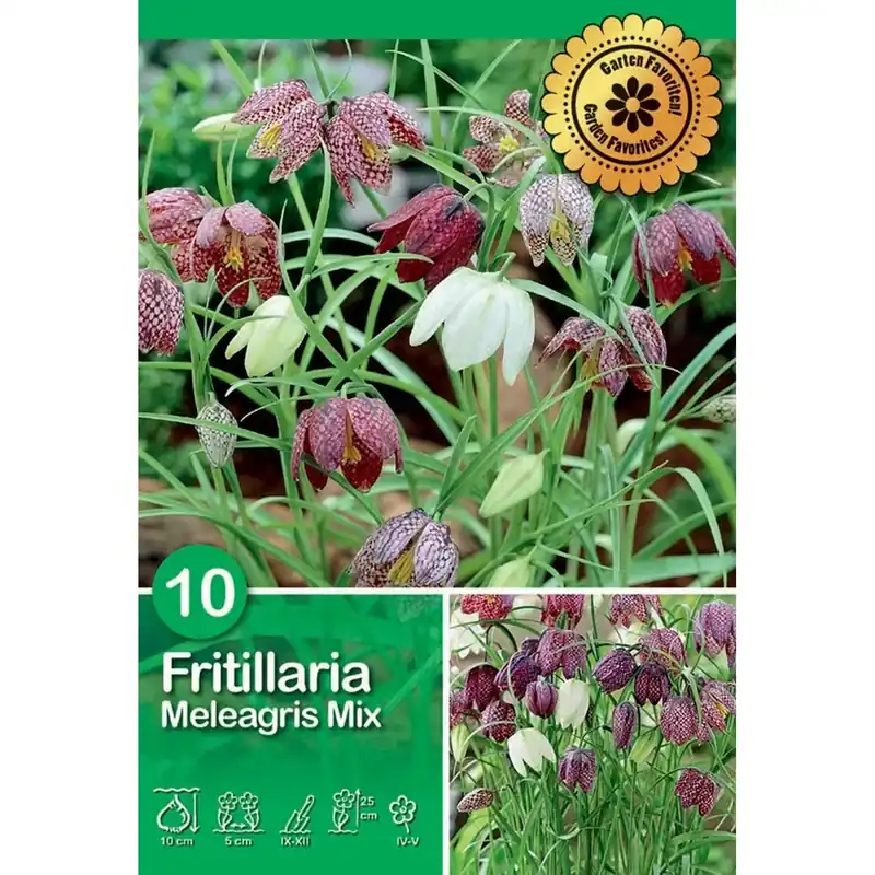 Gereduceerde Prijs Fritillaria Meleagris 10 pz