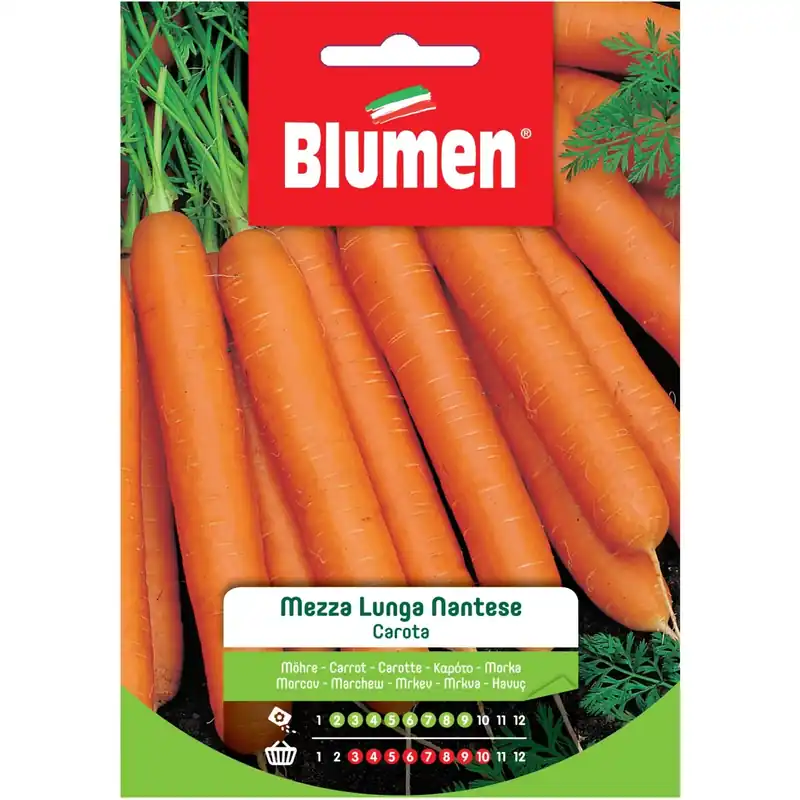 Semi Blumen Carota mezza lunga nantese Op = Op
