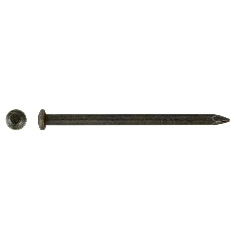 Chiodo acciaio testa fresata bombata blu temperato 2x40 mm 35 pz Koopje
