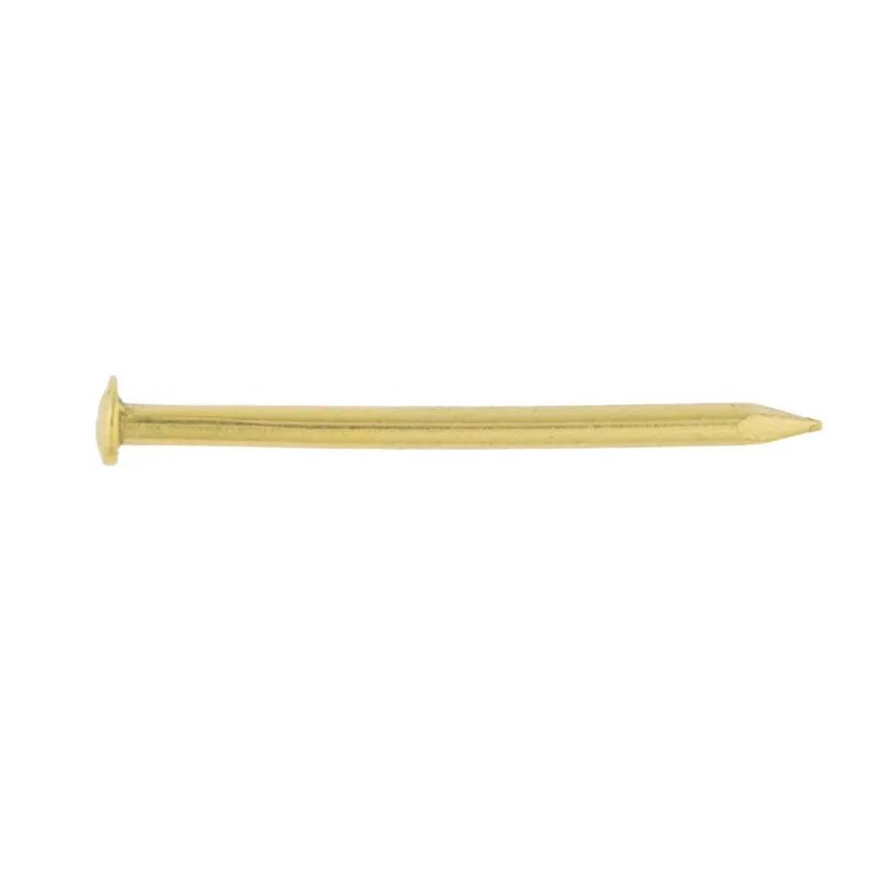Chiodo testa bombata ottone lucido 1,2x20 mm 130 pz Beste Prijs