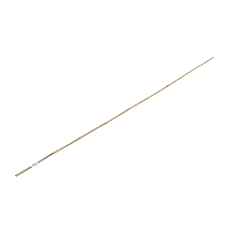 Beste Prijs Bastone di bambù H 150xØ 1 cm
