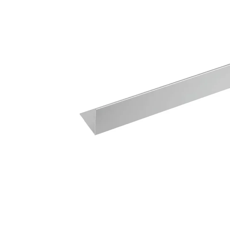 Populair Profilo angolare 2 m 40x40 mm alluminio argento