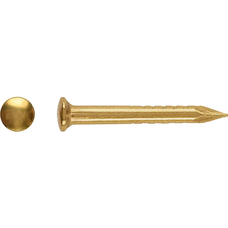 Rechtstreeks Van De Fabrikant LUX-TOOLS Chiodo LUX-TOOLS a testa tonda Ø 1,2x13 mm ottonato 200 pz