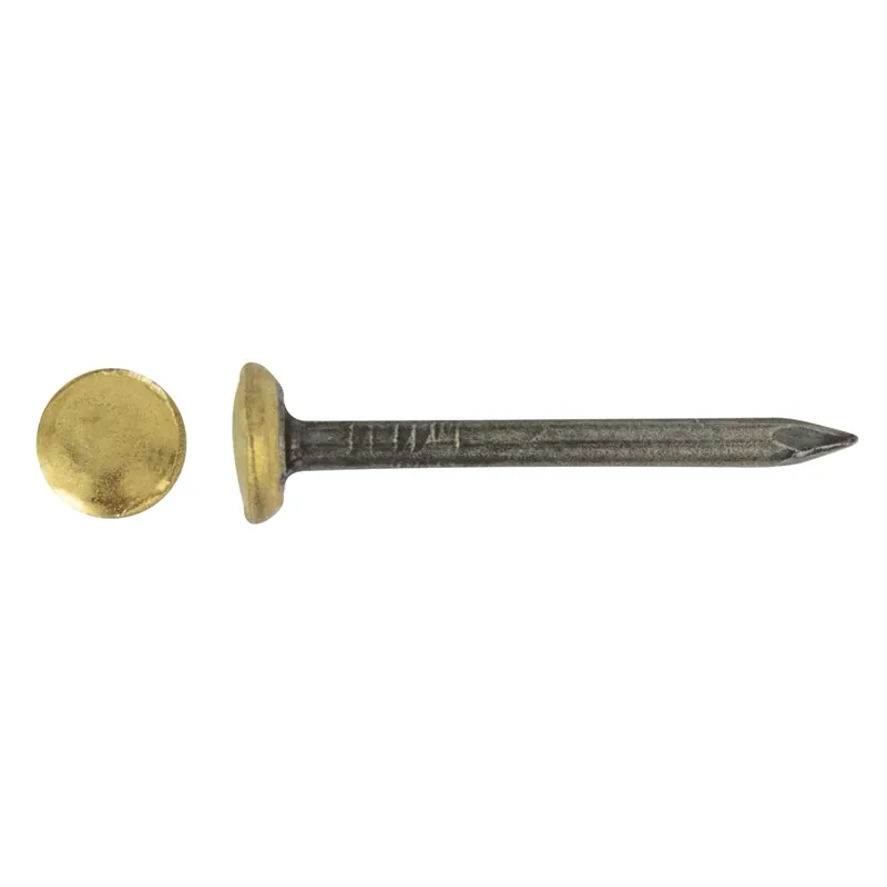 Gereduceerde Prijs Chiodo testa ottone bombata acciao blu temperato 2x20 mm x20 pz