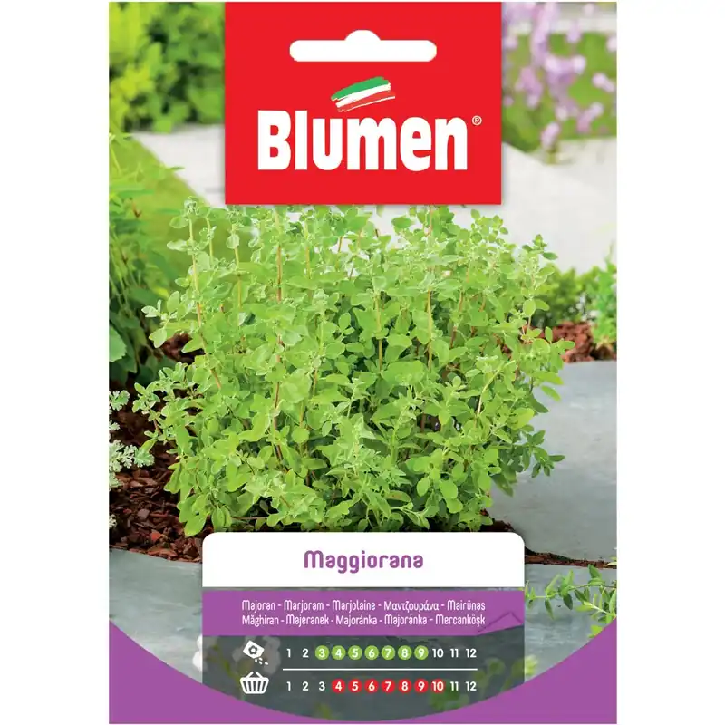 Semi Maggiorana Blumen Must-Have