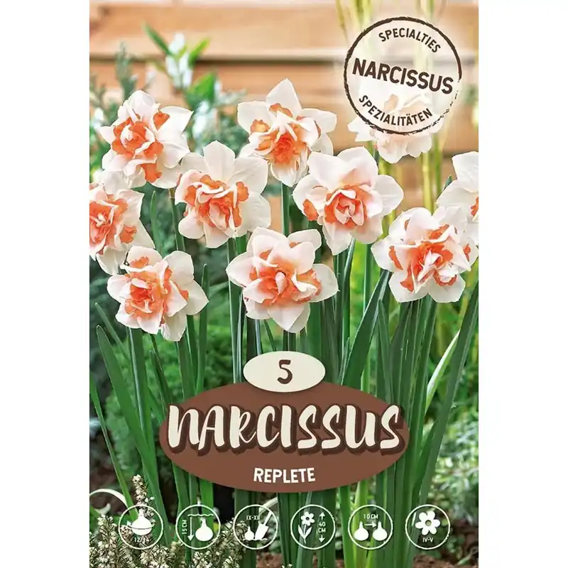 Direct Beschikbaar Narciso Replete