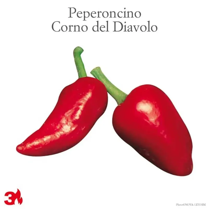 Exclusieve Aanbieding Peperoncino piccante Corno del diavolo vaso 14 cm