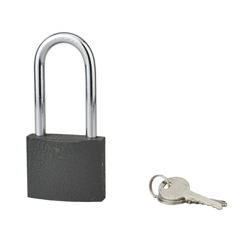 Weekendaanbieding Lucchetto a cilindro Acera grigio 60 mm arco 79 mm 3 chiavi