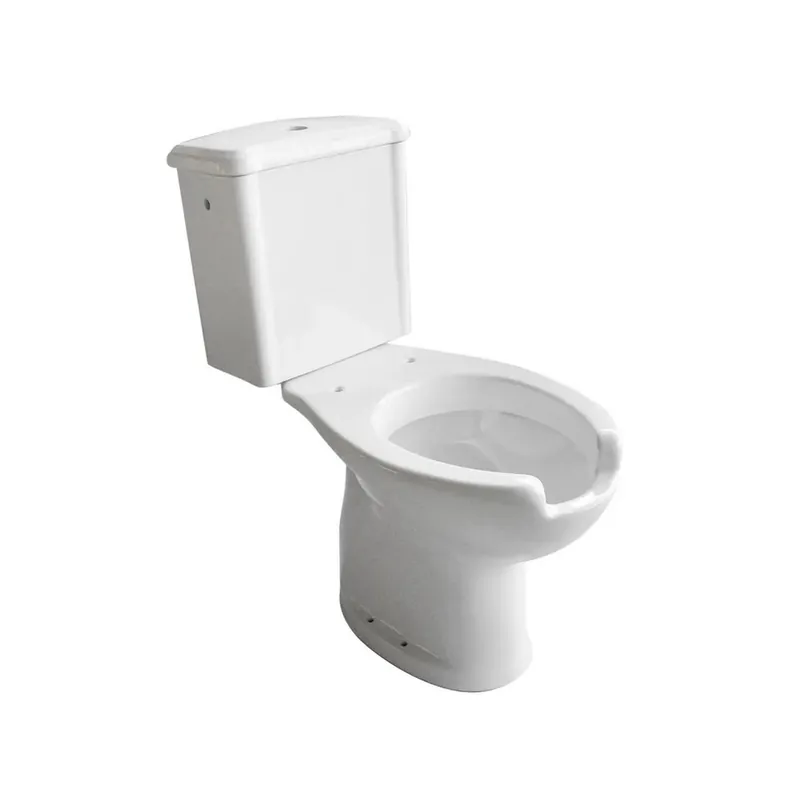 Vaso monoblocco per disabili con cassetta scarico a muro Uitverkoop