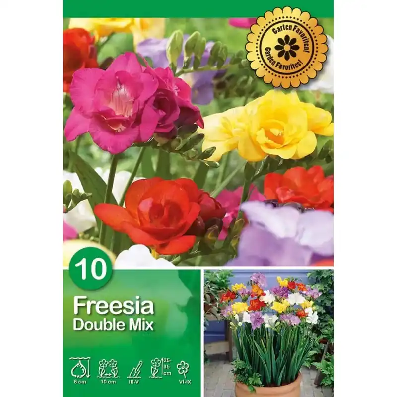 Fresia "Double Mix" Korting