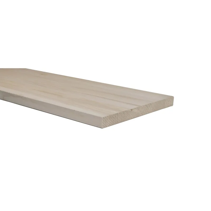 Alleen Vandaag Tavola lamellare paulonia 18x1500x400 mm