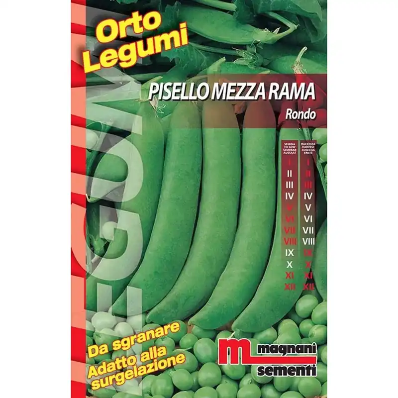 Semi Pisello mezza rama rondo 200 g Aanbieding