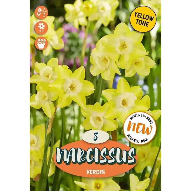 Bulbi di Narciso Verdin 8 pz Gereduceerde Prijs