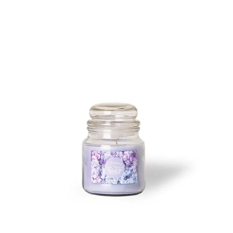 Candela profumata in giara 510 g fiori di lilla Dagaanbieding
