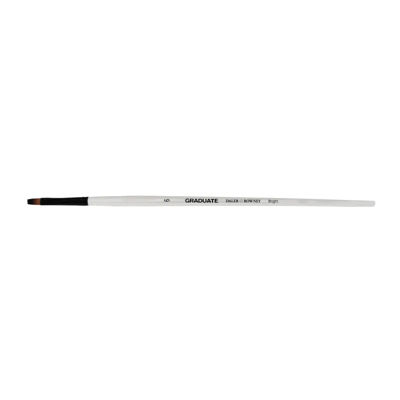 Betrouwbaar Pennello sintetico piatto multitecnica Daler-Rowney Graduate 6 manico lungo
