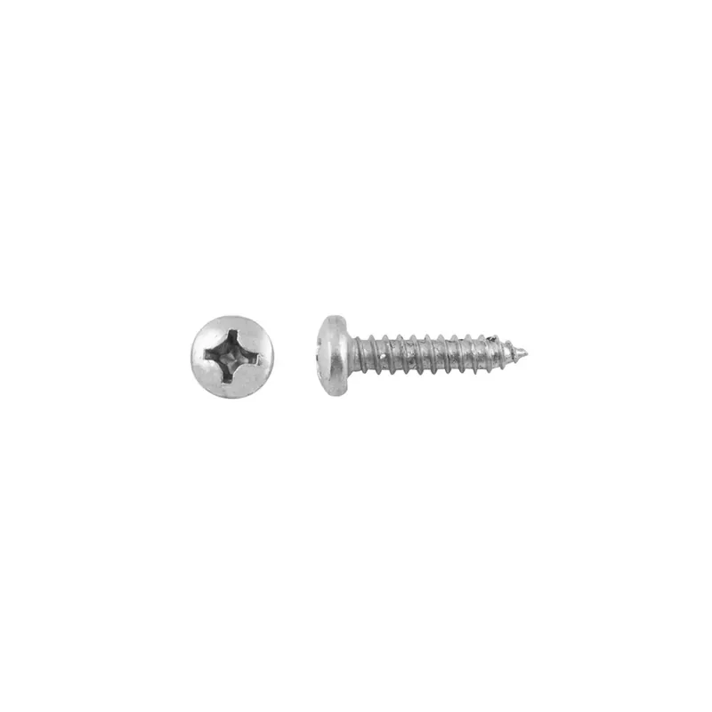 Flitsaanbieding Vite ferro autofilettante testa bombata ph din7981 inox mm 4,8x25mm