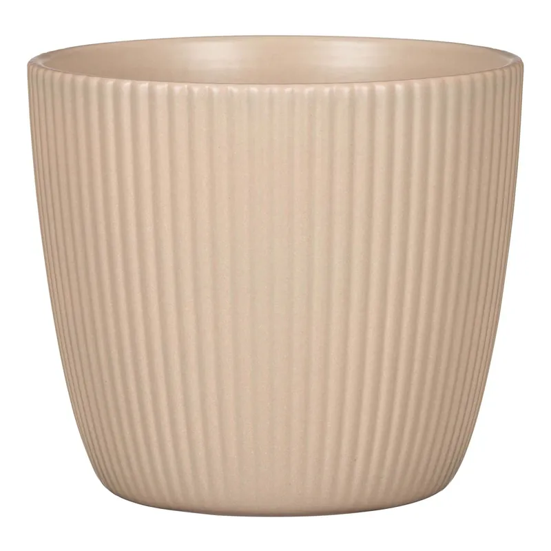 Coprivaso Scheurich 16,9x21,3 cm Dry Reed Meest Verkocht