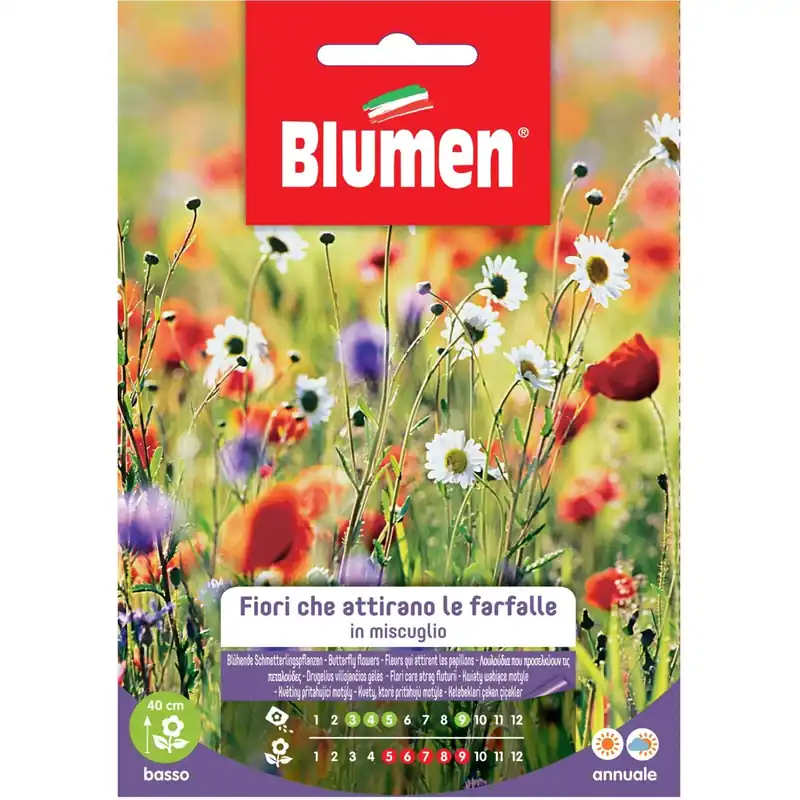 Gecertificeerd Semi Blumen miscuglio di fiori che attirano le farfalle