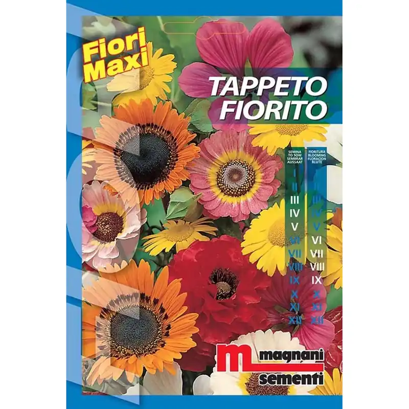 Semi fiori Tappeto fiorito Beperkte Voorraad