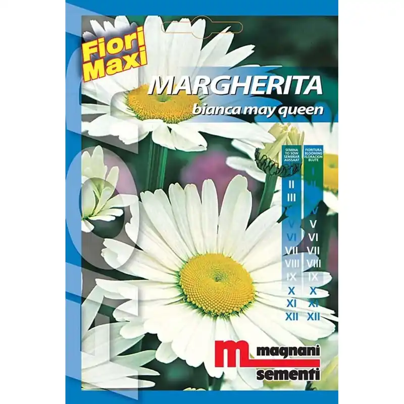 Beperkte Voorraad Semi fiori Margherita Mayqueen