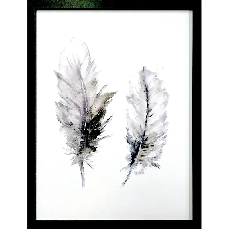 Betrouwbaar Stampa incorniciata Piume 30x40 cm