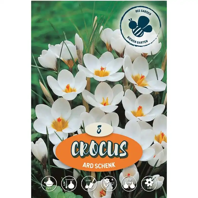 Gecertificeerd Crochi Ard Schenk