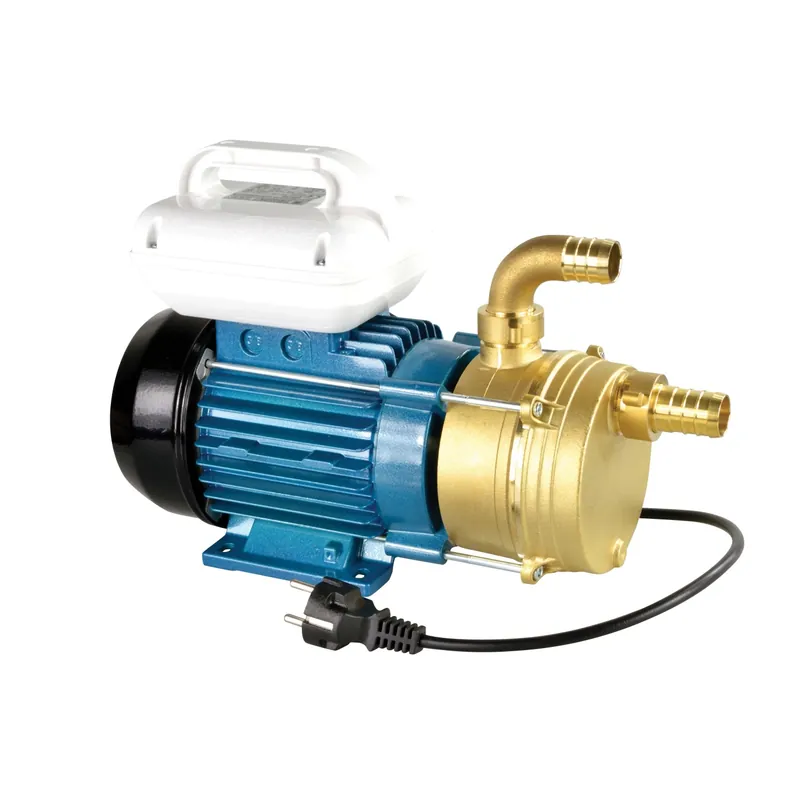 Pompa elettrica con manico M25 2600 l/h Rechtstreeks Van De Fabrikant