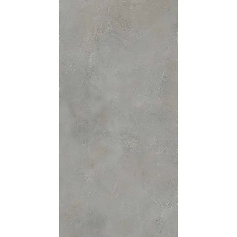 Piastrella in gres porcellanato Emotion grigio chiaro 60x120 cm 1,44 m² Laatste Kans
