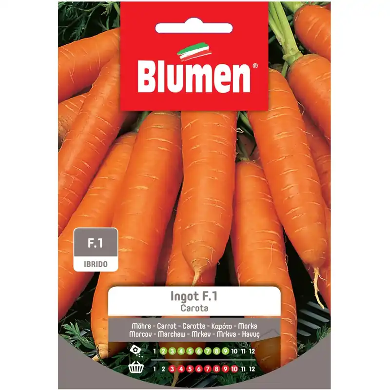 Voordeelprijs Semi Blumen Carota f.1